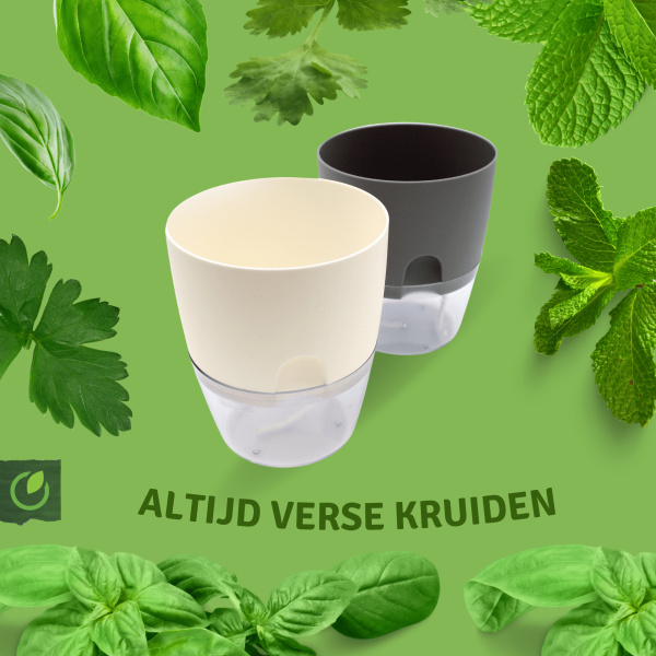 PlantaHerb zelfwaterende kruidenpot