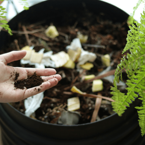 compostbak kopen
