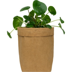 QUVIO Plantenzak - Bloempot voor binnen - Plantenbak - Tuinieren - Bloemen - Plantenpot - Planten houder - Milieuvriendelijk - Kraftpapier - 10 x 10 x 20 cm (lxbxh) - Bruin